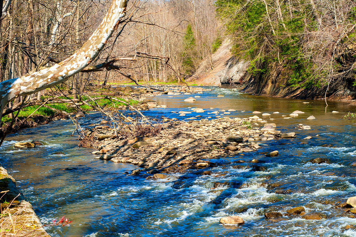 fall scene with brook trees and exposed rock