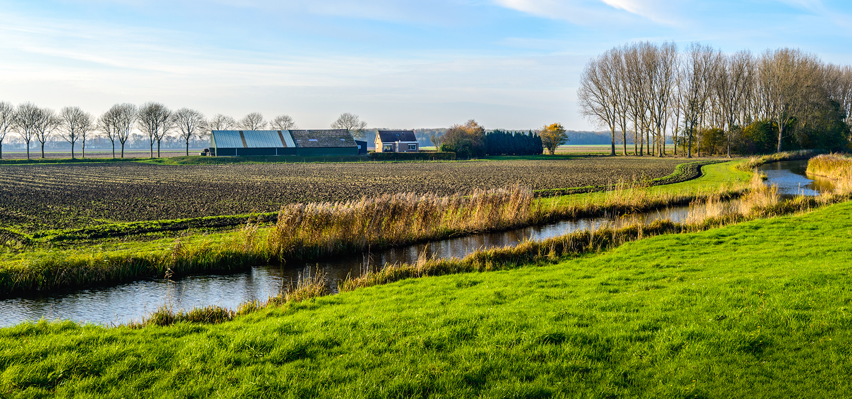 Stream by a farm in the countryside